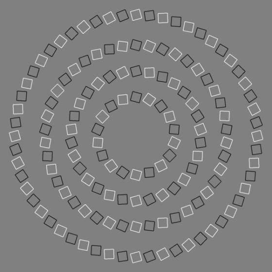 espiral inexistente, ilusión óptica de pinna